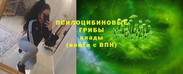ALPHA PVP Дмитриев