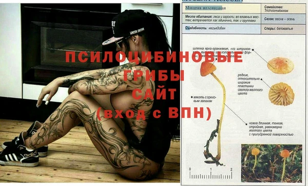кокаин колумбия Дмитровск