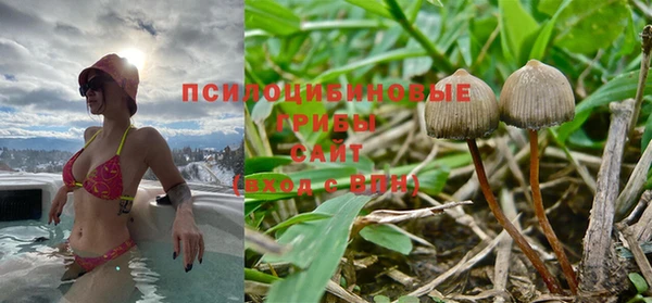 ALPHA PVP Дмитриев