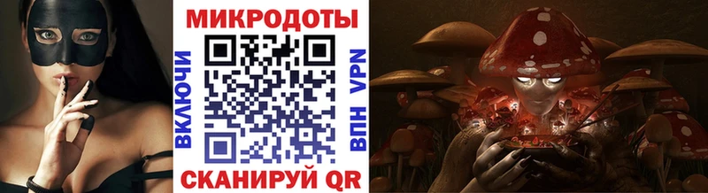 KRAKEN зеркало  Сочи  Галлюциногенные грибы Cubensis 